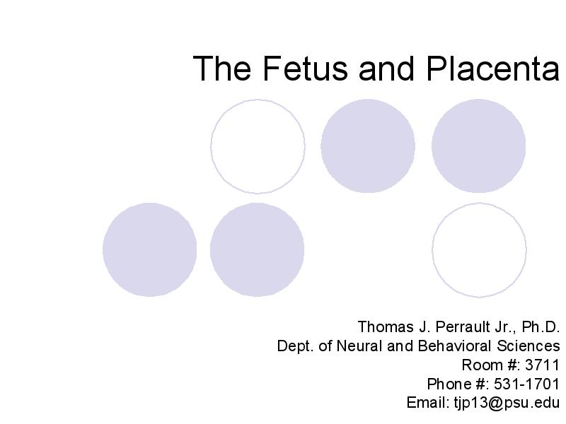 The Fetus and Placenta